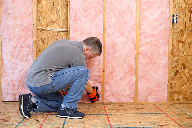 Best DIY Insulation Kits and Guidance in Enon, OH