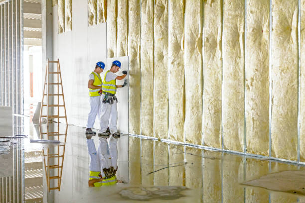 Best Commercial Insulation in Enon, OH